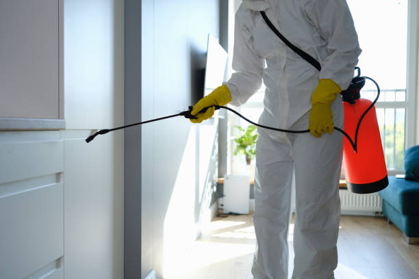 Professional Mold Removal in Warren, IN
